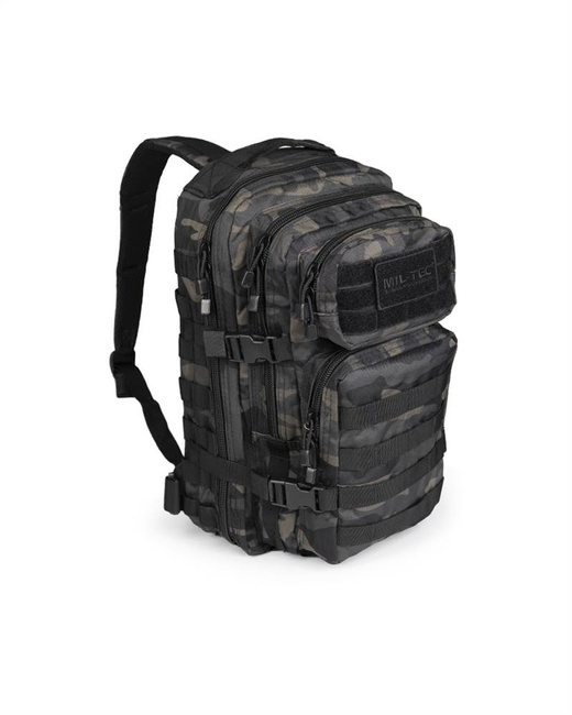 ASSAULT BACKPACK SMALL DARK CAMO 20 L Trekking \ Backpacks and