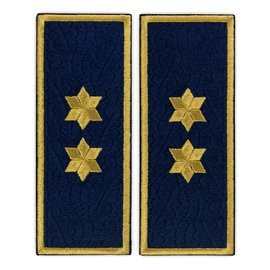 Embroidered commissioner penitentiary badge ANP