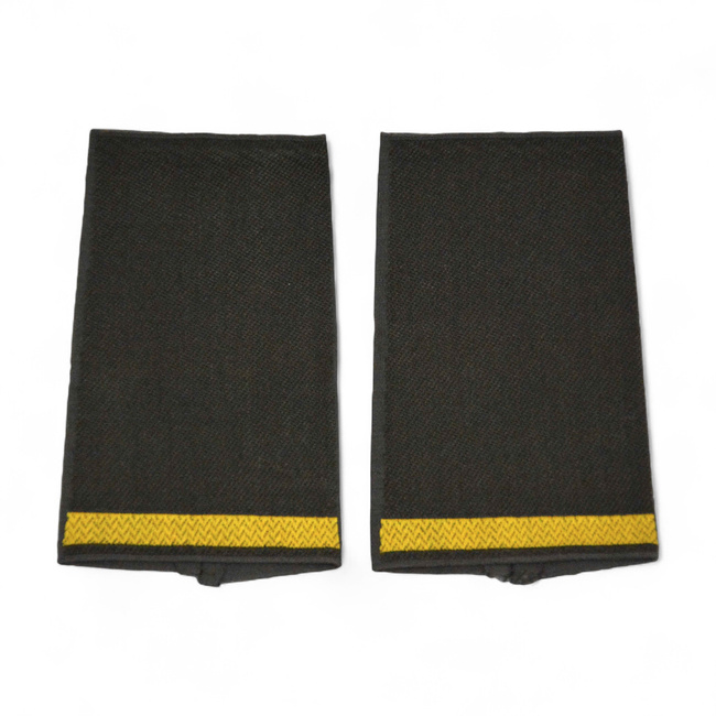 PAIR OF ORIGINAL RANKS - SENIOR ENSIGN AT SEA - GERMAN ARMY - NAVY - OLIVE GREEN/GOLDEN