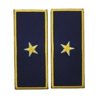 reprezentare/bleumarin