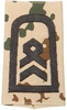 GERMAN ARMY TROPICAL CAMO/BLACK SHOULDER LOOPS ´STABSFELDWEBEL´