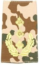 GERMAN ARMY TROPICAL CAMO/GOLD SHOULDER LOOPS ´GENERAL-LEUTNANT´