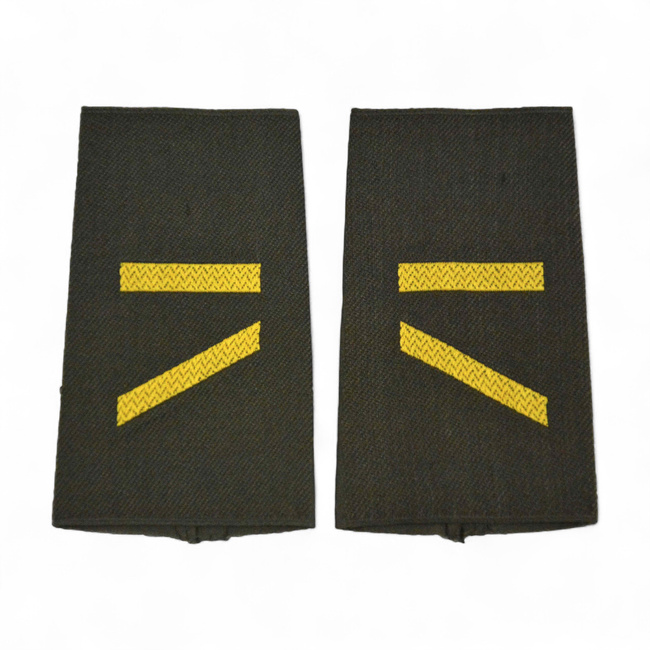PAIR OF ORIGINAL RANKS - PRIVATE MC - GERMAN ARMY - NAVY - OLIVE GREEN/GOLDEN