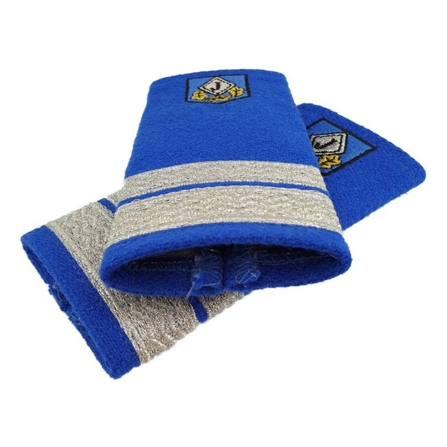 Grade jandarmi, sergent major jandarmi