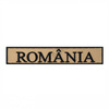 ROMANIAN COMBAT LAND FORCES BADGE - 14 x 2.5 CM - KHAKI