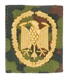 PATCH GENUINE GERMAN ACHIEVEMENT BADGE GOLD ON FLECKTARN CAMO FABRIC 55 x 45 MM