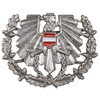 AT BH Peaked Cap Insignia, "Heer", metal, like new