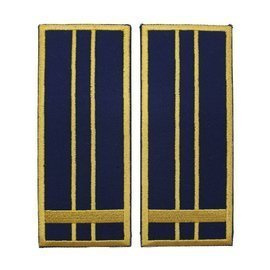 GRADE INSPECTOR VAMAL ASISTENT - REPREZENTARE/ BLEUMARIN