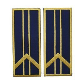 GRADE CONTROLOR – REFERENT VAMAL ASISTENT