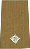 GERMAN ARMY O.D./SILVER SHOULDER LOOPS ´LEUTNANT´