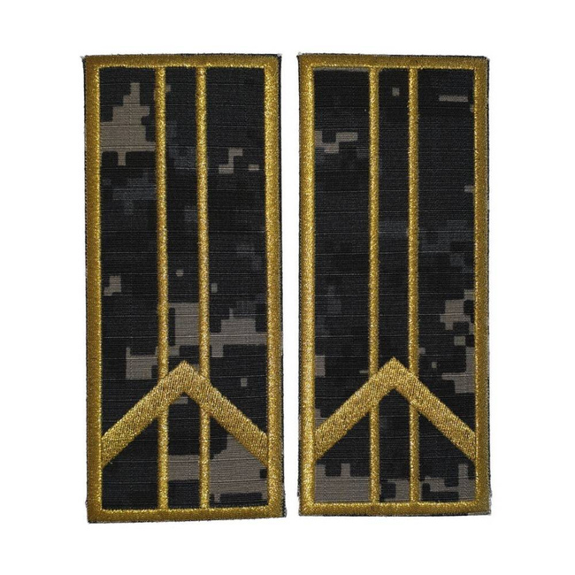 GRADE CONTROLOR – REFERENT VAMAL ASISTENT