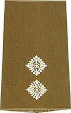 GERMAN ARMY O.D./SILVER SHOULDER LOOPS OBERLEUTNANT