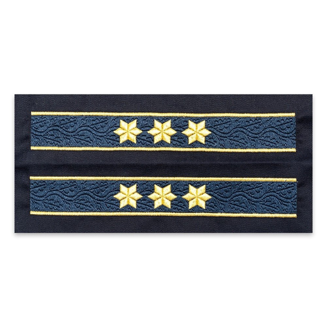 TRESE MANECA VESTON COMISAR SEF ANP