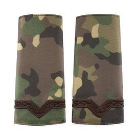 GRADE MAISTRU MILITAR CLASA 5-A COMBAT FORTE TERESTRE