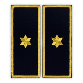 Embroidered subcommissioning penitentiary badge ANP