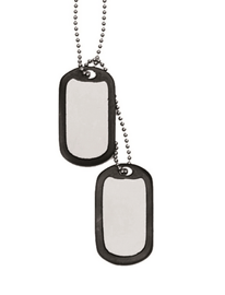 Us Stainless Steel Dog Tag Set With Silencer