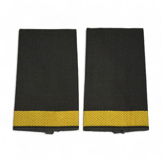 PAIR OF ORIGINAL RANKS - LIEUTENANT - GERMAN ARMY - NAVY - OLIVE GREEN/GOLDEN