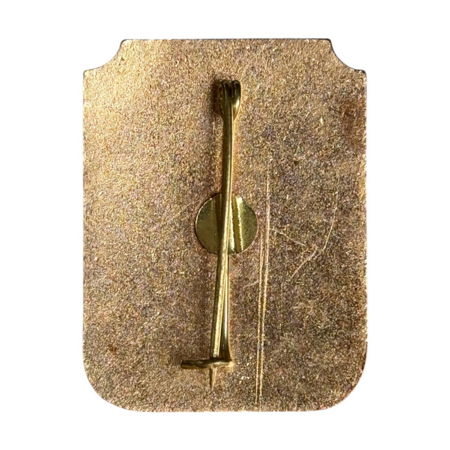 METAL BADGE - ALTERNATIVE UTILITARY SERVICE - ROMANIAN ARMY MILITARY SURPLUS -  GOLDEN