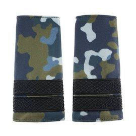 GRADE MILITARE AVIATIE COMBAT, GRADE PLUTONIER AVIATIE