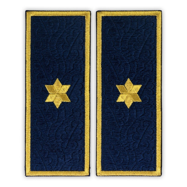 Grade subcomisar penitenciar, ANP