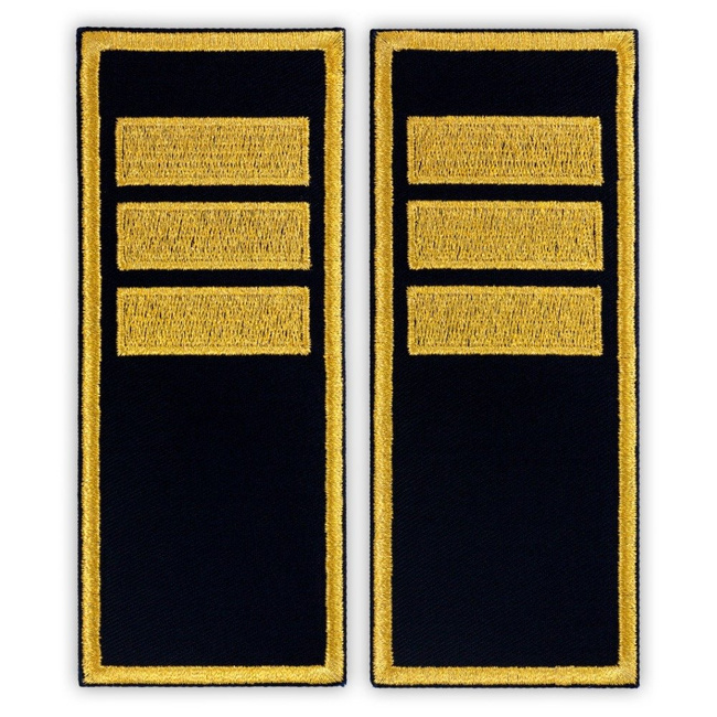 Grade Agent Șef Adjunct penitenciar ANP - Fundal simplu - 12x5 cm (model nou)