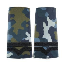 GRADE MILITARE AVIATIE COMBAT, GRADE MAISTRU MILITAR CL 4 AVIATIE