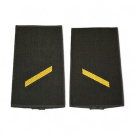 PAIR OF ORIGINAL RANKS - PRIVATE - GERMAN ARMY - NAVY - OLIVE GREEN/GOLDEN