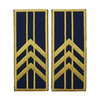 reprezentare/bleumarin
