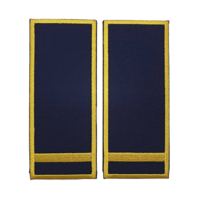 GRADE INSPECTOR VAMAL DEBUTANT - REPREZENTARE/ BLEUMARIN