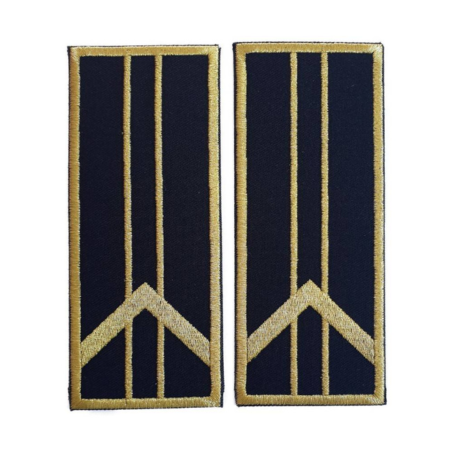 GRADE CONTROLOR – REFERENT VAMAL ASISTENT