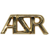 CZ/SK metal badge, gold, like new