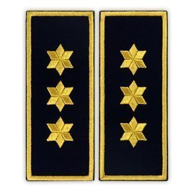 Grade Commissioner Chief Penitentiary ANP-simple