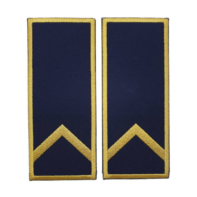 GRADE CONTROLOR – REFERENT VAMAL DEBUTANT