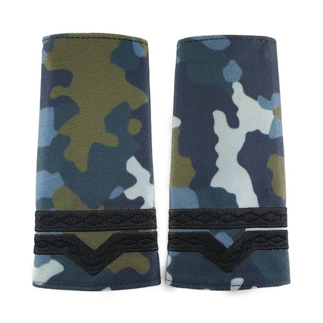 GRADE MILITARE AVIATIE COMBAT, GRADE MAISTRU MILITAR CL 4 AVIATIE