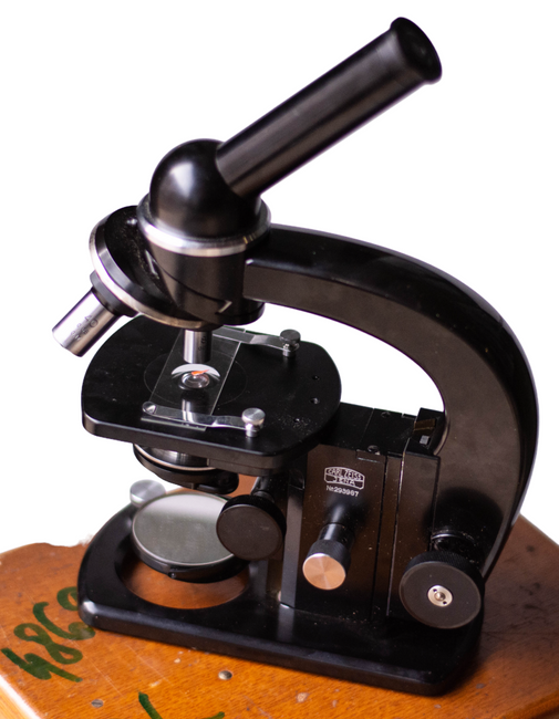 Microscope Carl Zeiss Jena (+ box) - Used