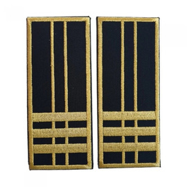 GRADE INSPECTOR VAMAL SUPERIOR - CEREMONIE/ NEGRU