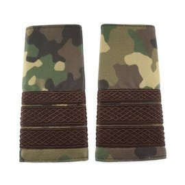 Major Sergeant Rank Combat Terrestrial Forces