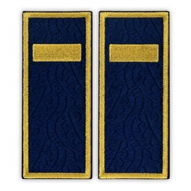 Grade Agent penitenciar ANP - Fundal brodat complet cu frunze de stejar - 14x5,5 cm (model vechi)