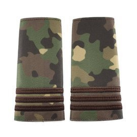 Captain Rank Combat Terrestrial Forces