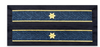 Sleeve ANP