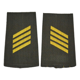 PAIR OF ORIGINAL RANKS - CORPORAL - GERMAN ARMY - NAVY - OLIVE GREEN/GOLDEN