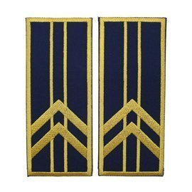 GRADE CONTROLOR – REFERENT VAMAL PRINCIPAL - REPREZENTARE/ BLEUMARIN