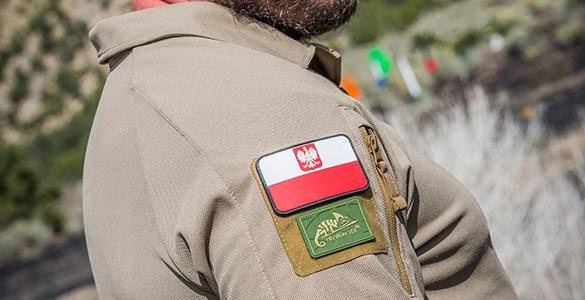 LONG SLEEVE POLO SHIRT - RANGE - Helikon Tex - SHADOW GREY