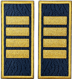 Grade penitentiary chief, ANP